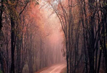 J9：今天是进攻手！朱-霍勒迪半场7中4砍下11分2助&正负值+14.