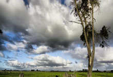 J9：羽超联赛（浙江赛区）在杭开赛 陈雨菲、“雅思”亮相中国新闻网.