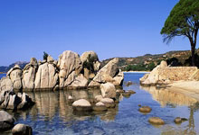 [天下足球]赛季收官战 拜仁慕尼黑不敌霍芬海姆.